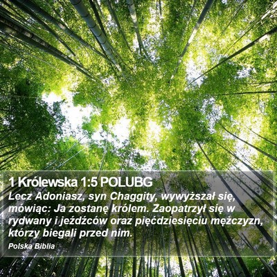 1 Królewska 1:5 POLUBG Bible Verse Image
