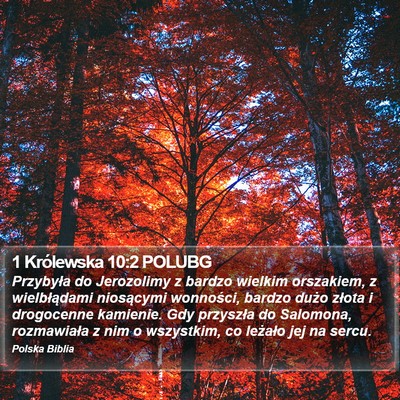 1 Królewska 10:2 POLUBG Bible Verse Image