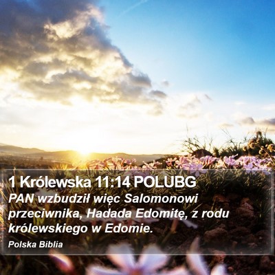 1 Królewska 11:14 POLUBG Bible Verse Image
