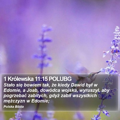 1 Królewska 11:15 POLUBG Bible Verse Image
