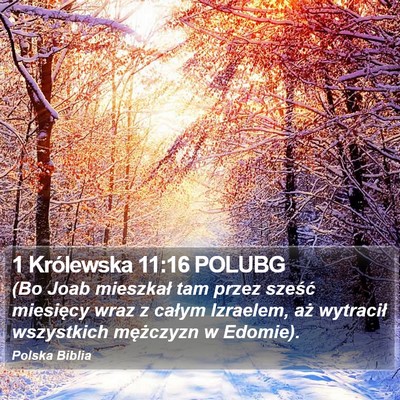 1 Królewska 11:16 POLUBG Bible Verse Image