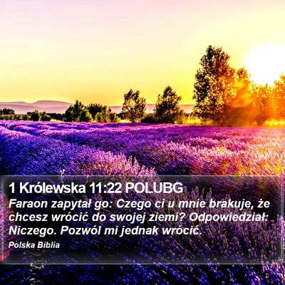 1 Królewska 11:22 POLUBG Bible Verse Image