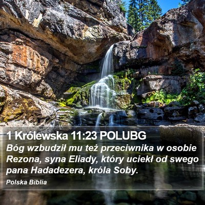 1 Królewska 11:23 POLUBG Bible Verse Image