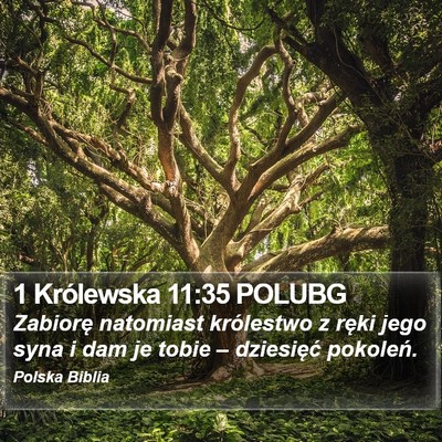 1 Królewska 11:35 POLUBG Bible Verse Image