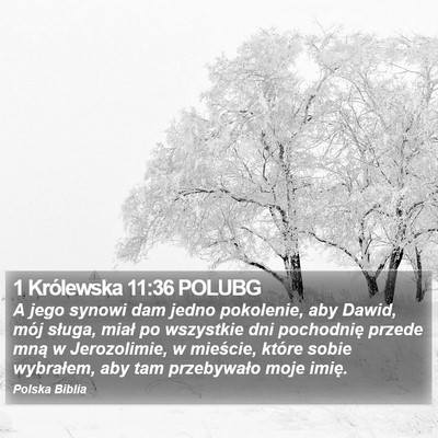 1 Królewska 11:36 POLUBG Bible Verse Image