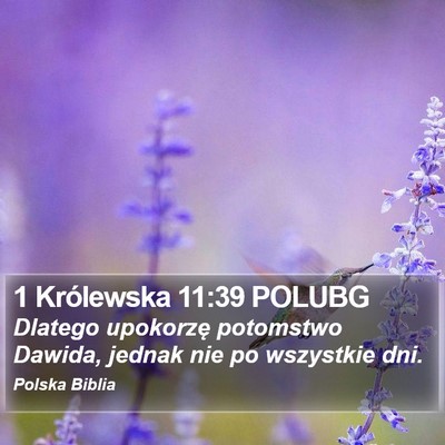 1 Królewska 11:39 POLUBG Bible Verse Image