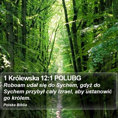 1 Królewska 12:1 POLUBG Bible Verse Image