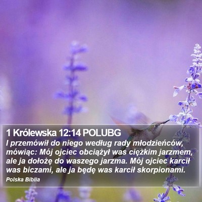 1 Królewska 12:14 POLUBG Bible Verse Image
