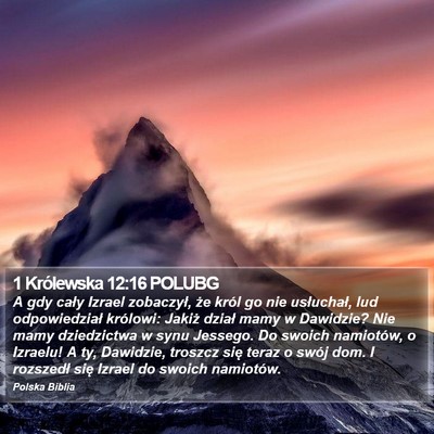 1 Królewska 12:16 POLUBG Bible Verse Image