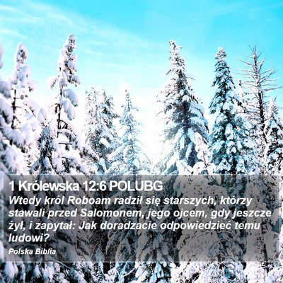 1 Królewska 12:6 POLUBG Bible Verse Image