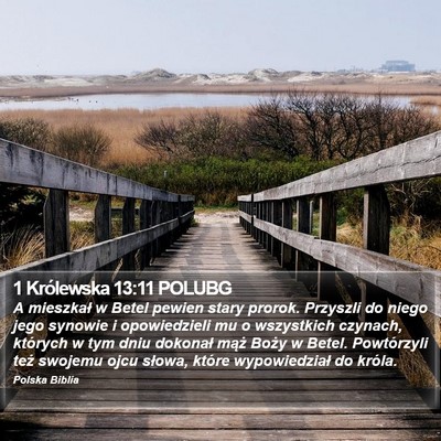 1 Królewska 13:11 POLUBG Bible Verse Image