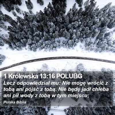 1 Królewska 13:16 POLUBG Bible Verse Image