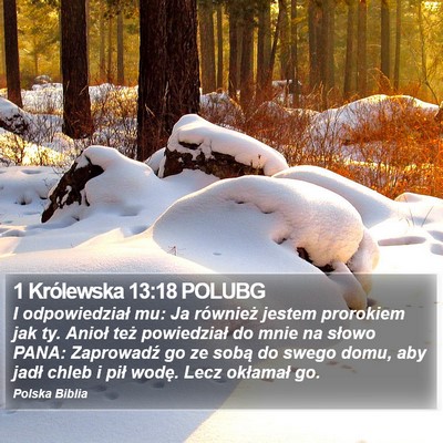 1 Królewska 13:18 POLUBG Bible Verse Image