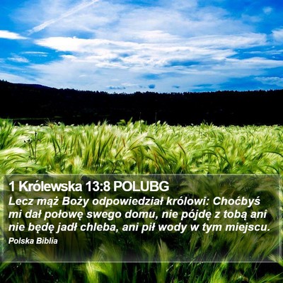 1 Królewska 13:8 POLUBG Bible Verse Image