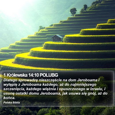 1 Królewska 14:10 POLUBG Bible Verse Image