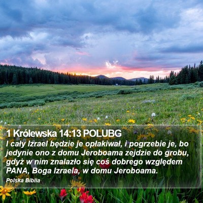 1 Królewska 14:13 POLUBG Bible Verse Image
