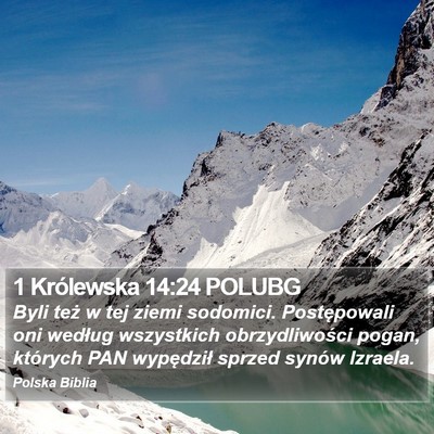 1 Królewska 14:24 POLUBG Bible Verse Image