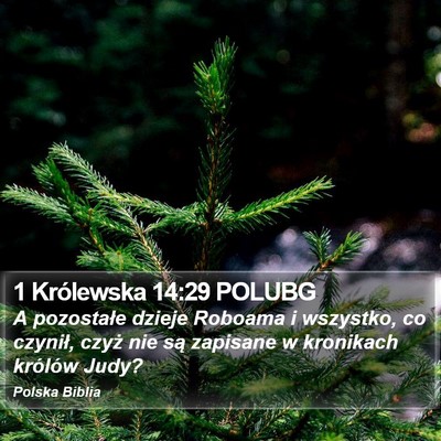 1 Królewska 14:29 POLUBG Bible Verse Image