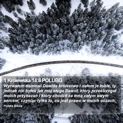 1 Królewska 14:8 POLUBG Bible Verse Image