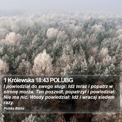 1 Królewska 18:43 POLUBG Bible Verse Image