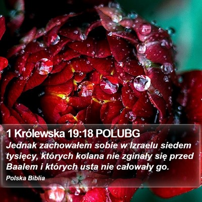 1 Królewska 19:18 POLUBG Bible Verse Image