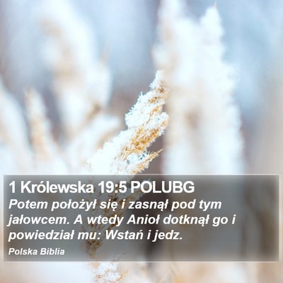 1 Królewska 19:5 POLUBG Bible Verse Image