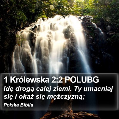 1 Królewska 2:2 POLUBG Bible Verse Image