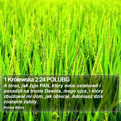 1 Królewska 2:24 POLUBG Bible Verse Image