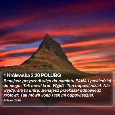 1 Królewska 2:30 POLUBG Bible Verse Image