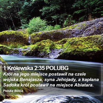 1 Królewska 2:35 POLUBG Bible Verse Image