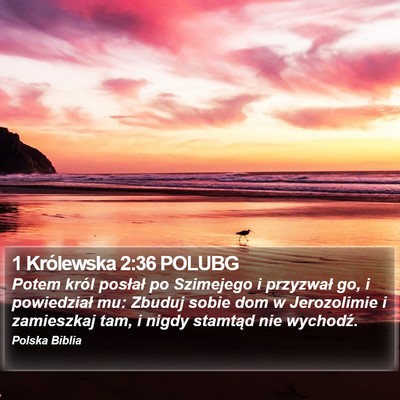 1 Królewska 2:36 POLUBG Bible Verse Image