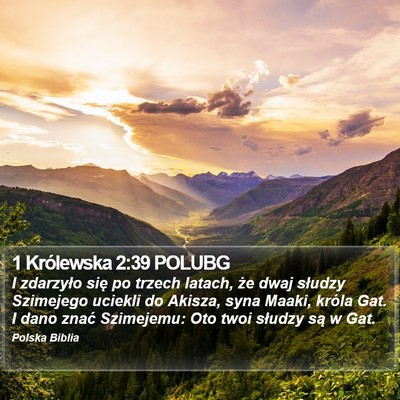 1 Królewska 2:39 POLUBG Bible Verse Image