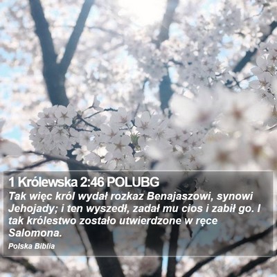 1 Królewska 2:46 POLUBG Bible Verse Image