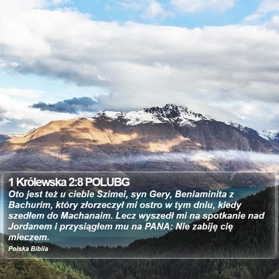 1 Królewska 2:8 POLUBG Bible Verse Image