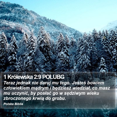 1 Królewska 2:9 POLUBG Bible Verse Image