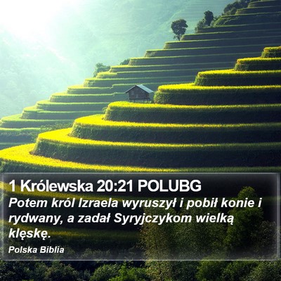 1 Królewska 20:21 POLUBG Bible Verse Image