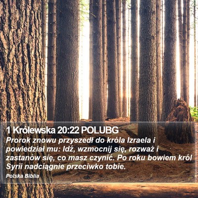 1 Królewska 20:22 POLUBG Bible Verse Image