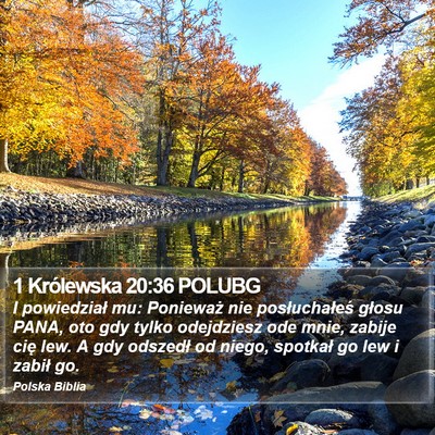 1 Królewska 20:36 POLUBG Bible Verse Image