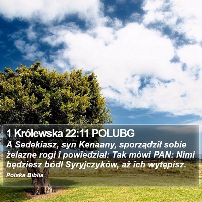 1 Królewska 22:11 POLUBG Bible Verse Image