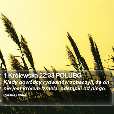 1 Królewska 22:33 POLUBG Bible Verse Image