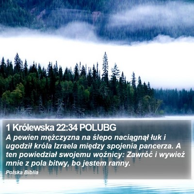 1 Królewska 22:34 POLUBG Bible Verse Image