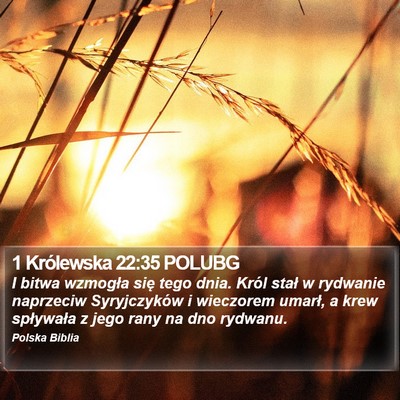 1 Królewska 22:35 POLUBG Bible Verse Image