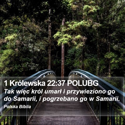 1 Królewska 22:37 POLUBG Bible Verse Image