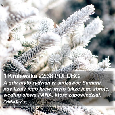 1 Królewska 22:38 POLUBG Bible Verse Image