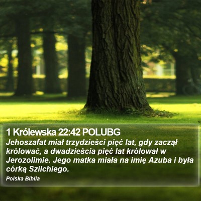 1 Królewska 22:42 POLUBG Bible Verse Image