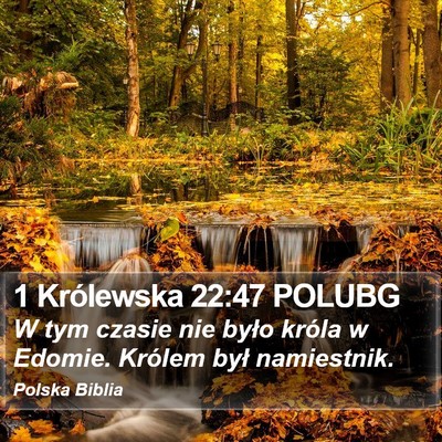1 Królewska 22:47 POLUBG Bible Verse Image
