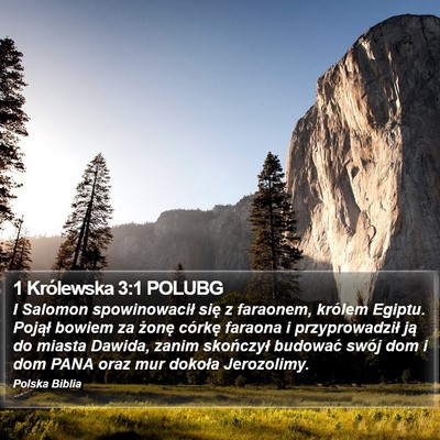 1 Królewska 3:1 POLUBG Bible Verse Image
