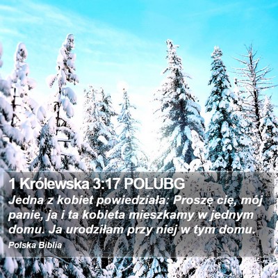 1 Królewska 3:17 POLUBG Bible Verse Image