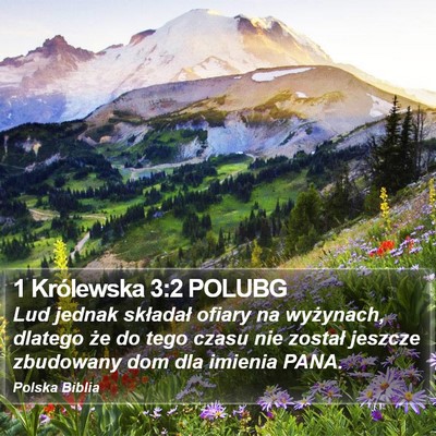 1 Królewska 3:2 POLUBG Bible Verse Image