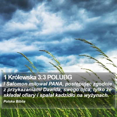 1 Królewska 3:3 POLUBG Bible Verse Image